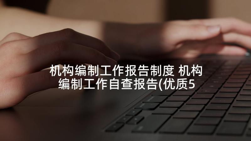 机构编制工作报告制度 机构编制工作自查报告(优质5篇)