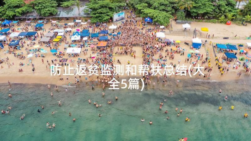 防止返贫监测和帮扶总结(大全5篇)