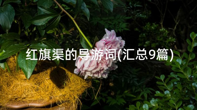 红旗渠的导游词(汇总9篇)