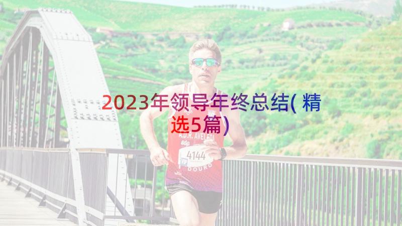 2023年领导年终总结(精选5篇)