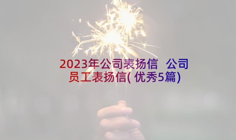 2023年公司表扬信 公司员工表扬信(优秀5篇)