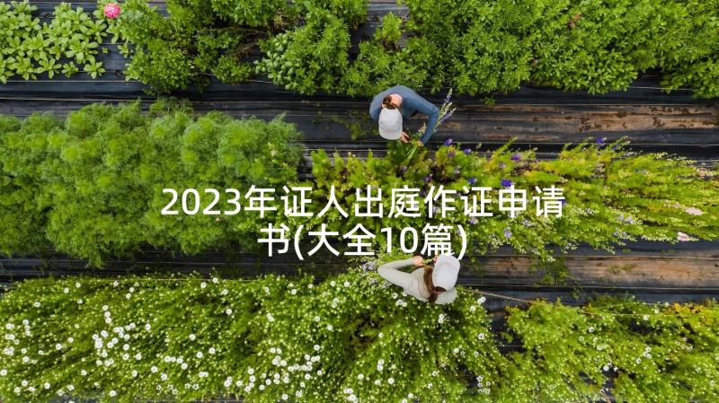 2023年证人出庭作证申请书(大全10篇)