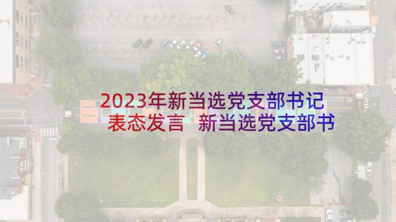 2023年新当选党支部书记表态发言 新当选党支部书记村表态发言(大全5篇)