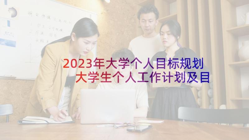 2023年大学个人目标规划 大学生个人工作计划及目标(实用5篇)