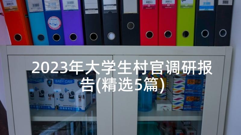 2023年大学生村官调研报告(精选5篇)