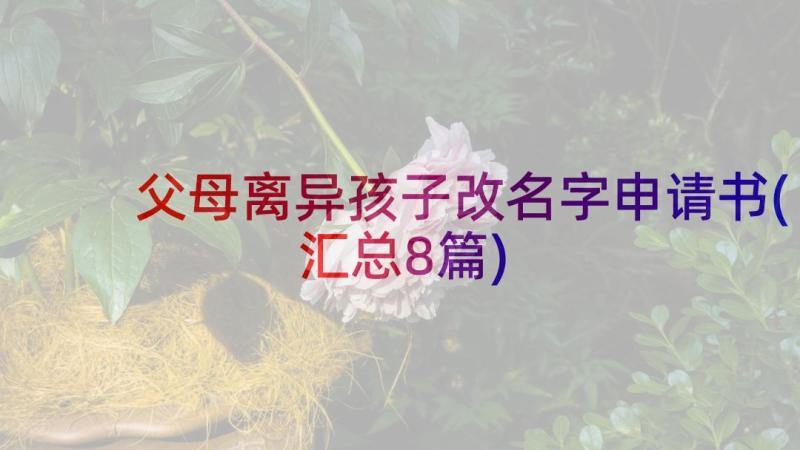 父母离异孩子改名字申请书(汇总8篇)