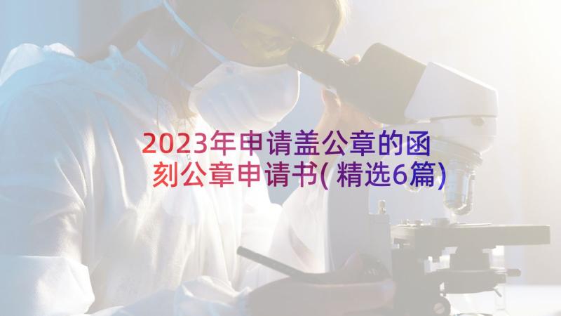 2023年申请盖公章的函 刻公章申请书(精选6篇)