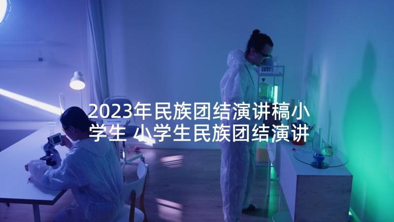 2023年民族团结演讲稿小学生 小学生民族团结演讲稿(优秀9篇)