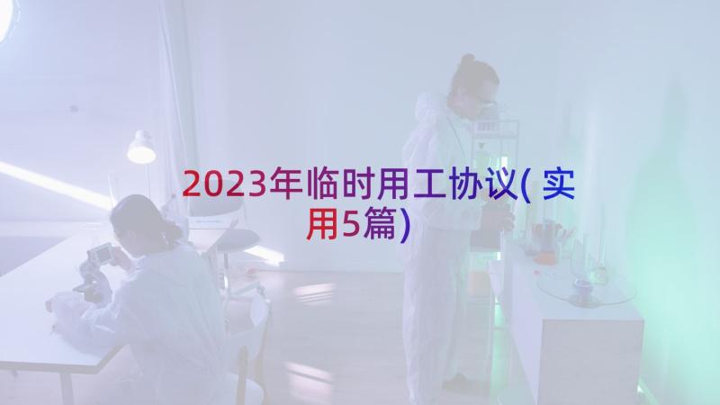 2023年临时用工协议(实用5篇)