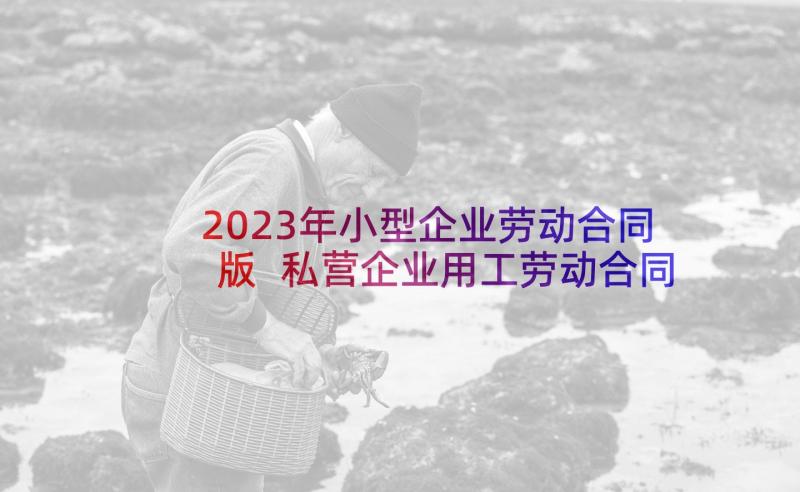 2023年小型企业劳动合同版 私营企业用工劳动合同(大全9篇)