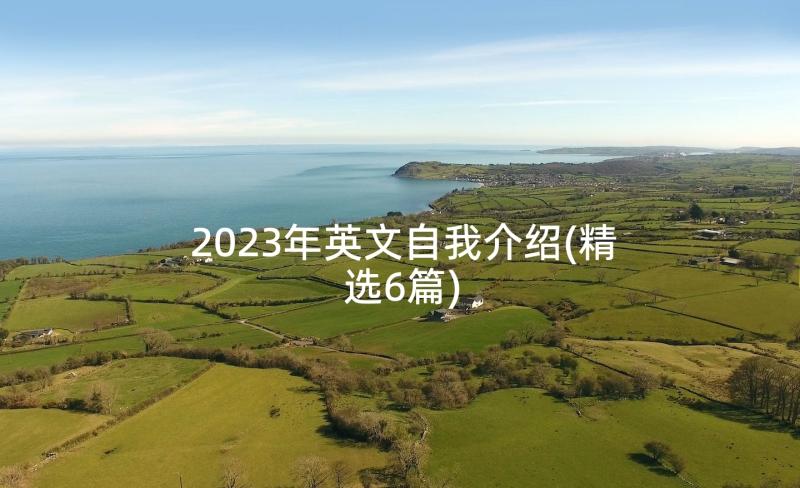 2023年英文自我介绍(精选6篇)