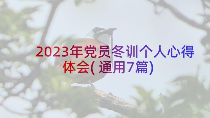 2023年党员冬训个人心得体会(通用7篇)