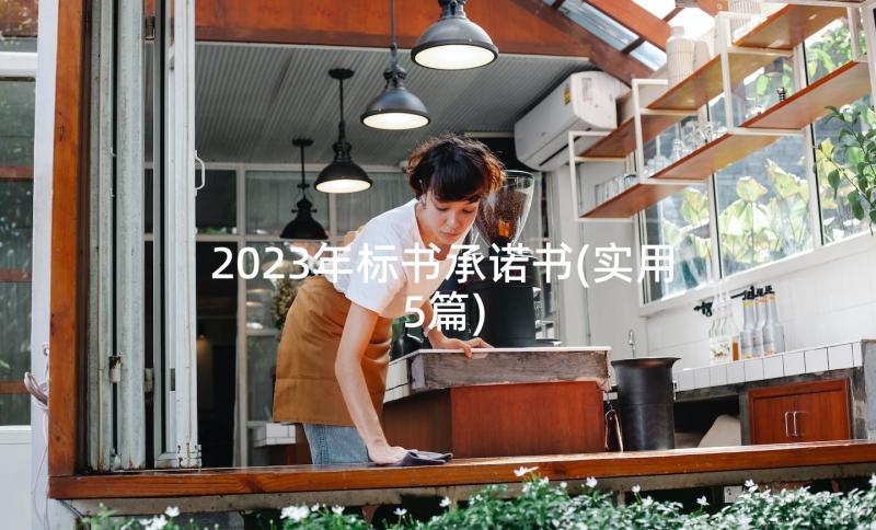 2023年标书承诺书(实用5篇)