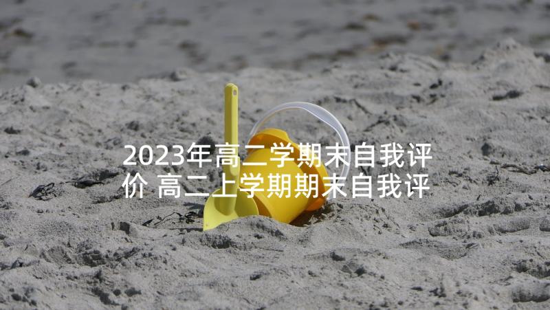 2023年高二学期末自我评价 高二上学期期末自我评价(模板8篇)