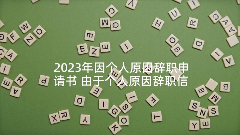 2023年因个人原因辞职申请书 由于个人原因辞职信(汇总9篇)