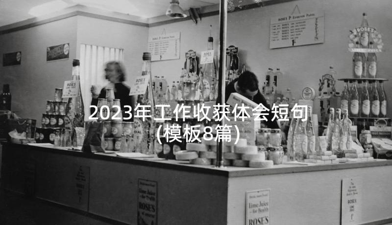 2023年工作收获体会短句(模板8篇)