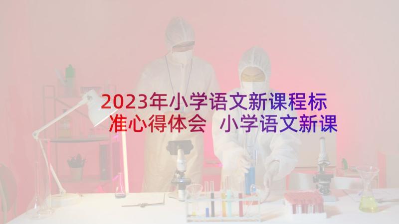 2023年小学语文新课程标准心得体会 小学语文新课程标准学习心得体会(大全10篇)