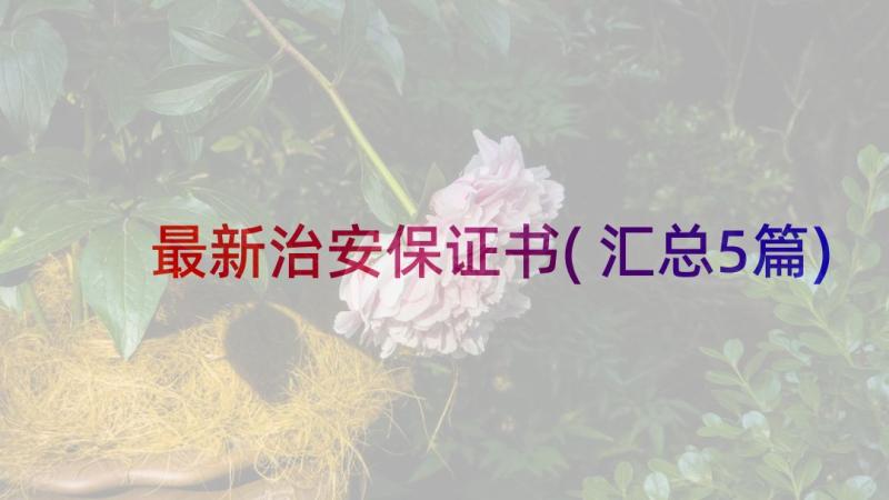 最新治安保证书(汇总5篇)