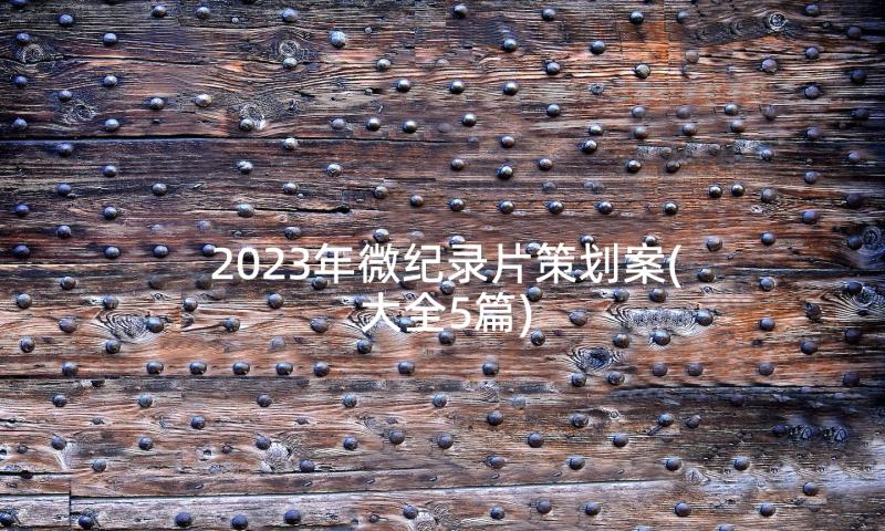 2023年微纪录片策划案(大全5篇)