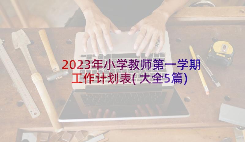 2023年小学教师第一学期工作计划表(大全5篇)