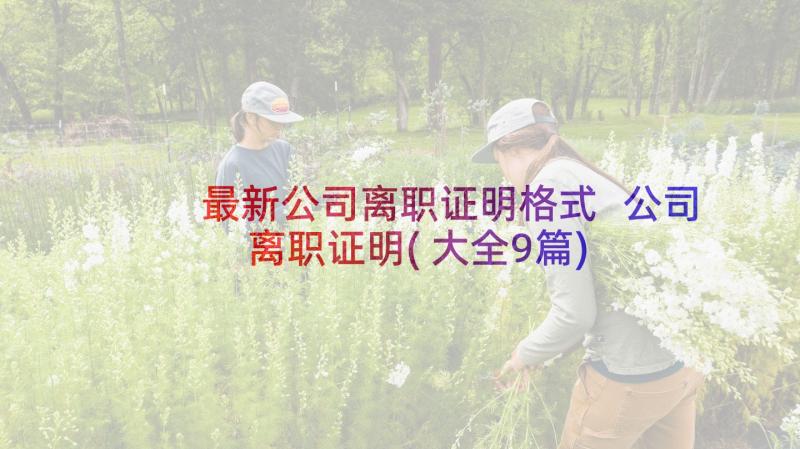 最新公司离职证明格式 公司离职证明(大全9篇)