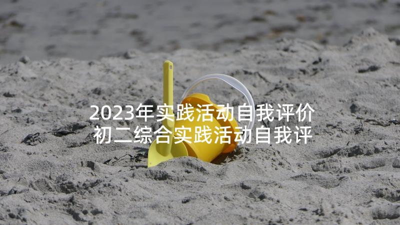 2023年实践活动自我评价 初二综合实践活动自我评价评语(实用10篇)