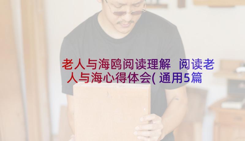 老人与海鸥阅读理解 阅读老人与海心得体会(通用5篇)