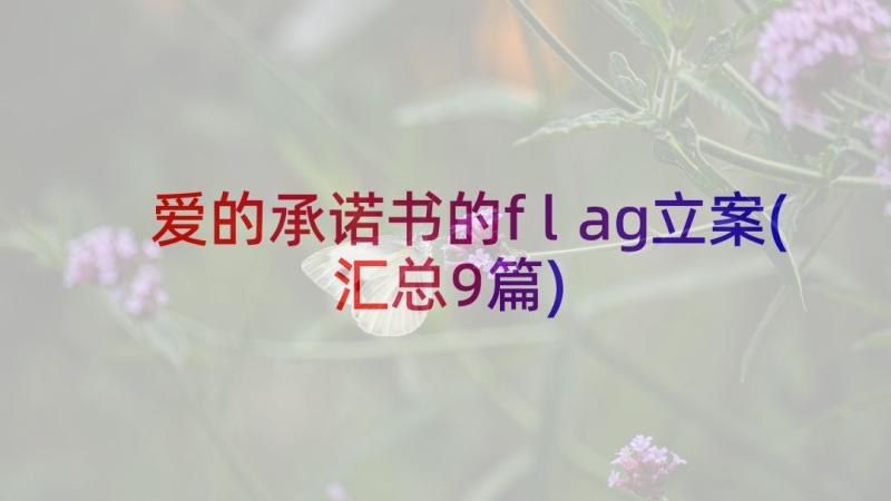 爱的承诺书的flag立案(汇总9篇)