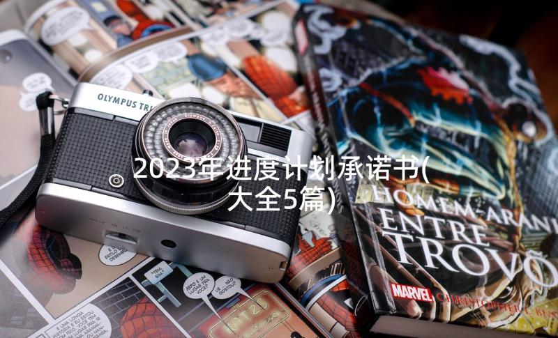 2023年进度计划承诺书(大全5篇)