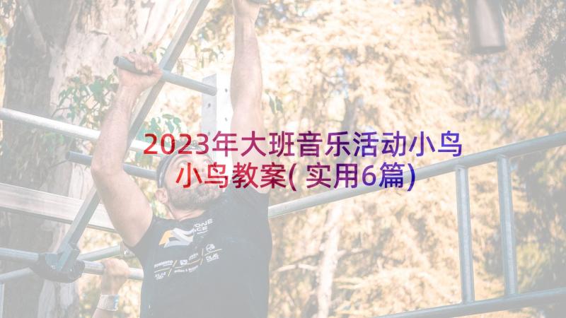 2023年大班音乐活动小鸟小鸟教案(实用6篇)