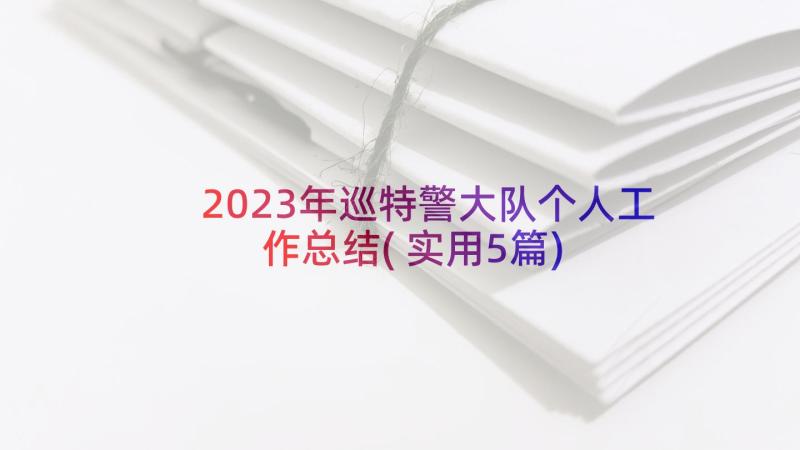 2023年巡特警大队个人工作总结(实用5篇)