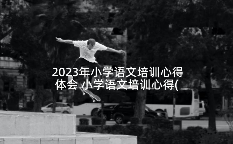 2023年小学语文培训心得体会 小学语文培训心得(大全5篇)