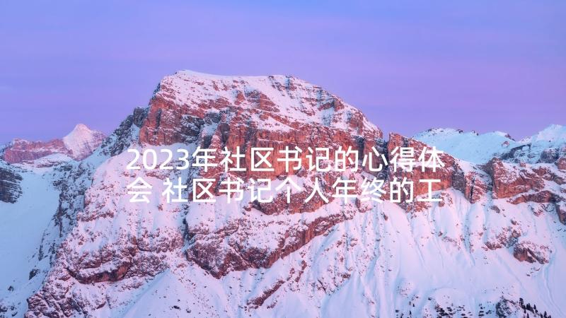 2023年社区书记的心得体会 社区书记个人年终的工作总结(优质8篇)