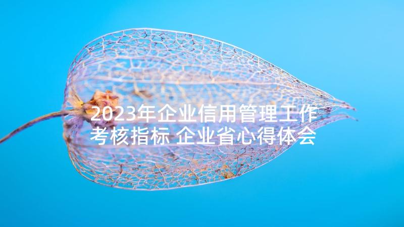 2023年企业信用管理工作考核指标 企业省心得体会(精选8篇)