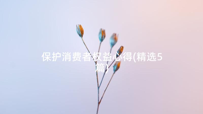 保护消费者权益心得(精选5篇)