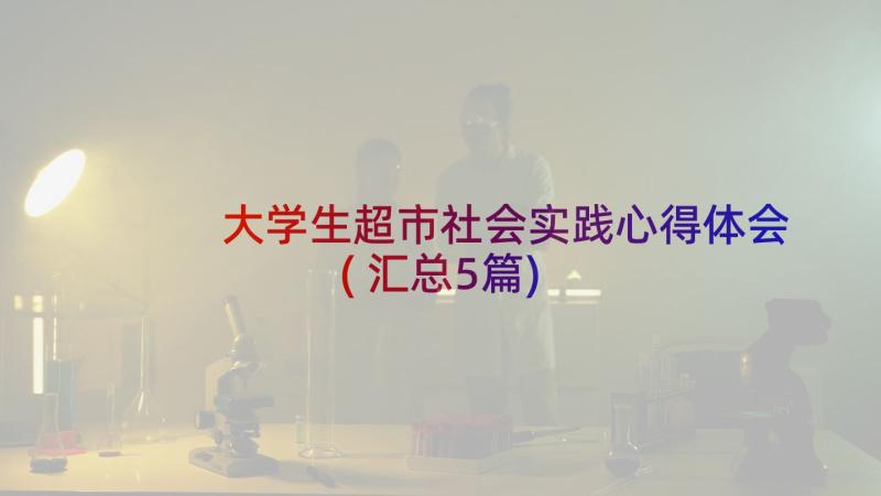 大学生超市社会实践心得体会(汇总5篇)