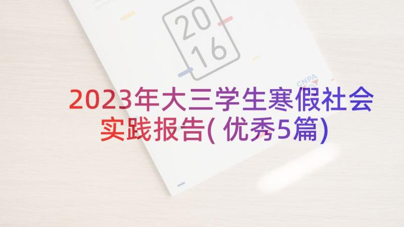 2023年大三学生寒假社会实践报告(优秀5篇)