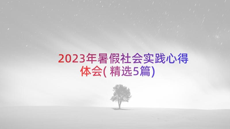 2023年暑假社会实践心得体会(精选5篇)