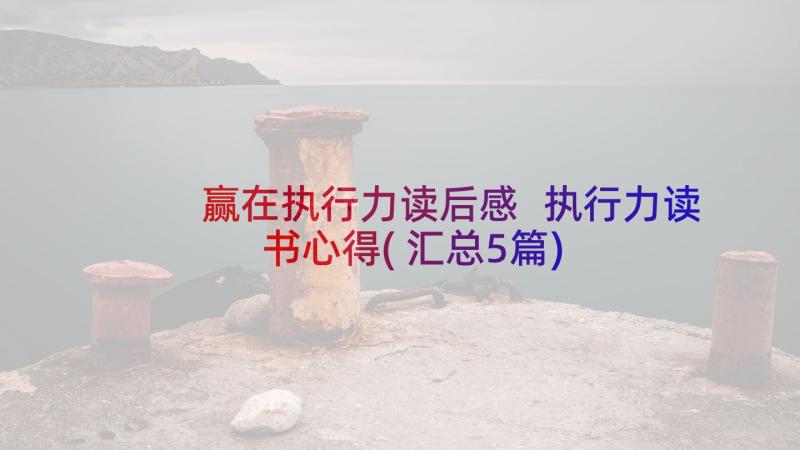 赢在执行力读后感 执行力读书心得(汇总5篇)