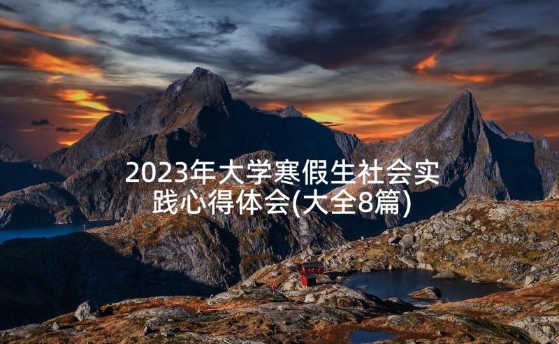 2023年大学寒假生社会实践心得体会(大全8篇)