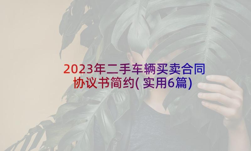 2023年二手车辆买卖合同协议书简约(实用6篇)