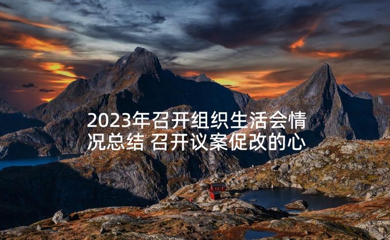 2023年召开组织生活会情况总结 召开议案促改的心得体会(模板5篇)