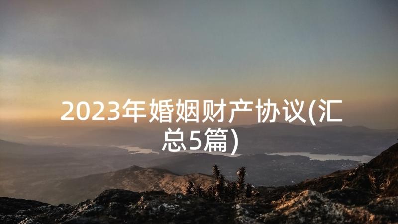 2023年婚姻财产协议(汇总5篇)