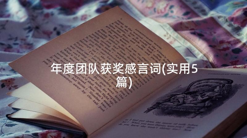 年度团队获奖感言词(实用5篇)