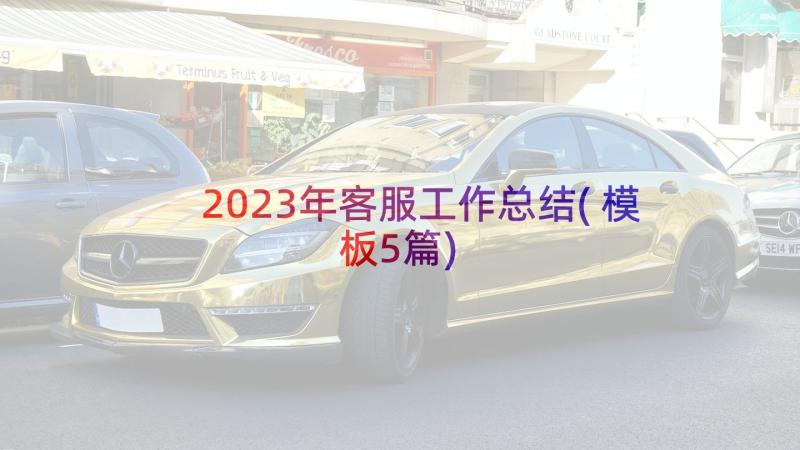 2023年客服工作总结(模板5篇)