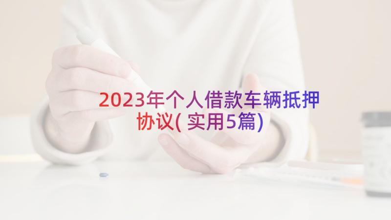 2023年个人借款车辆抵押协议(实用5篇)