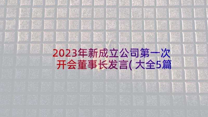 2023年新成立公司第一次开会董事长发言(大全5篇)