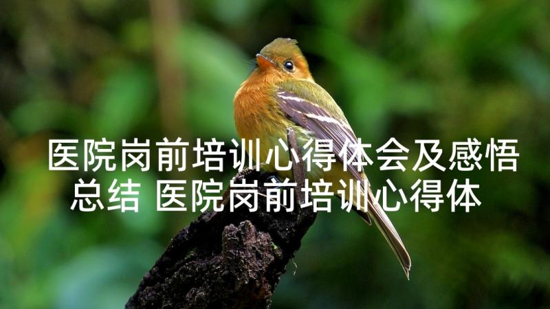 医院岗前培训心得体会及感悟总结 医院岗前培训心得体会及感悟(通用5篇)