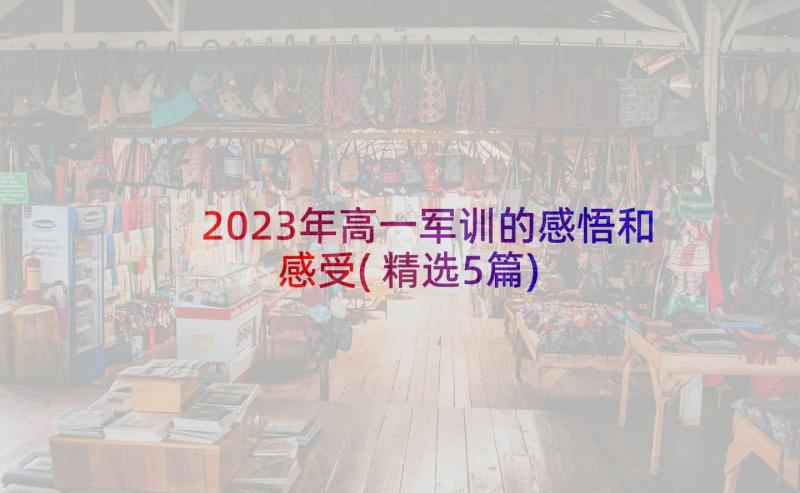 2023年高一军训的感悟和感受(精选5篇)