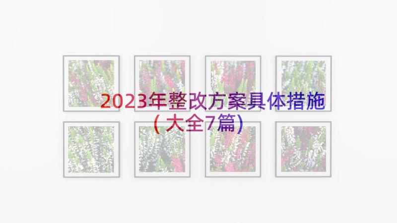 2023年整改方案具体措施(大全7篇)